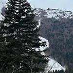 Inserrata In Tuscany